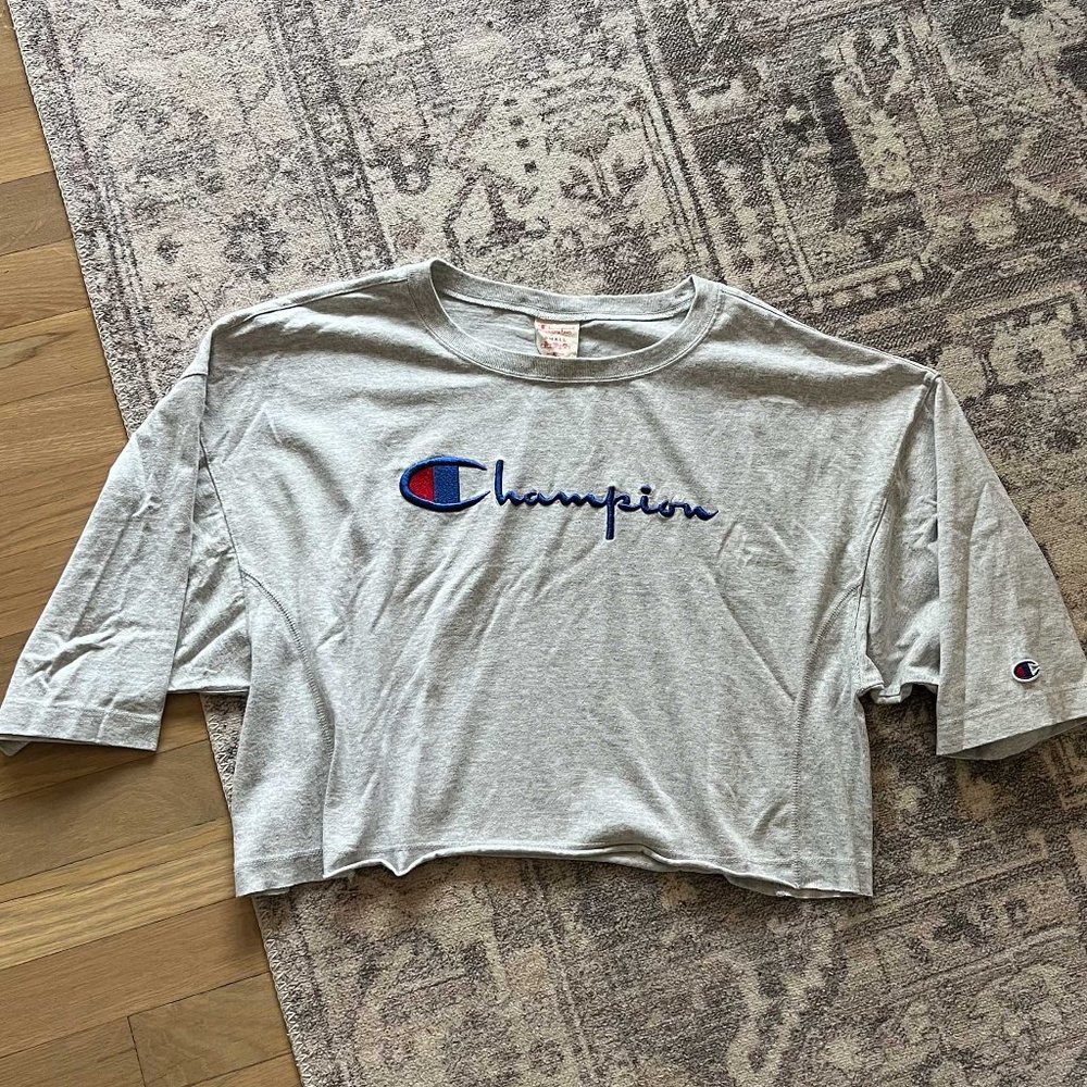 Madewell CHAMPION gray crop top Small